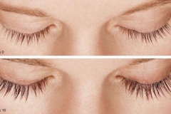 Lashes